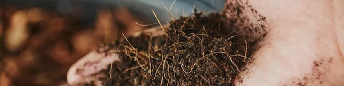 fertilizantes-canada copy