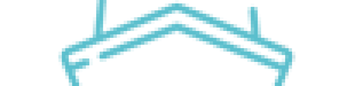 navio