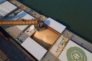 Porto de Santos intensifica ações de tratamento e controle de pragas em 2024